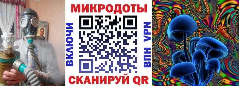 KRAKEN онион  закладка  Пудож  Псилоцибиновые грибы прущие грибы 